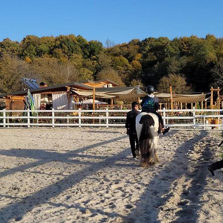 Vila Teoharie Ocnele Mari Εξωτερικό φωτογραφία