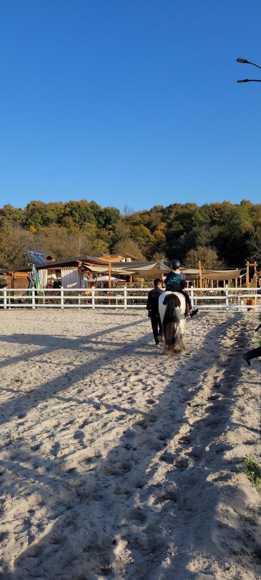 Vila Teoharie Ocnele Mari Εξωτερικό φωτογραφία